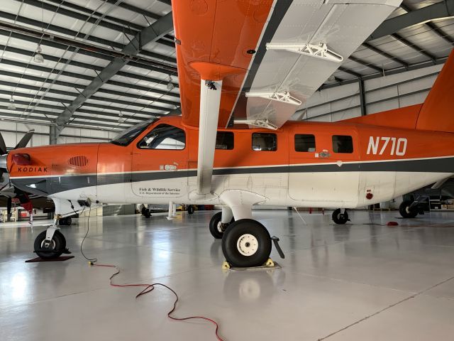 Quest Kodiak (N710)