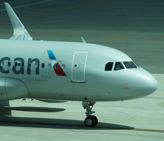 Airbus A319 (N9029F)