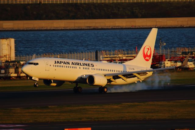 Boeing 737-800 (JA337J)