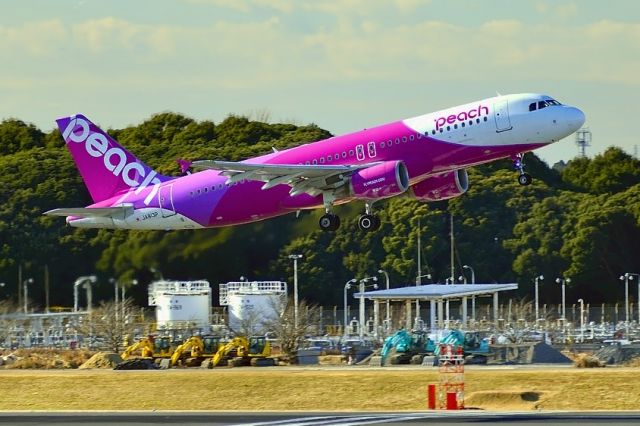 Airbus A320 (JA813P)