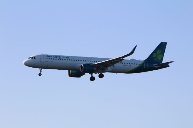 Airbus A321neo (EI-LRC)