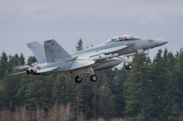 McDonnell Douglas FA-18 Hornet (16-8382)