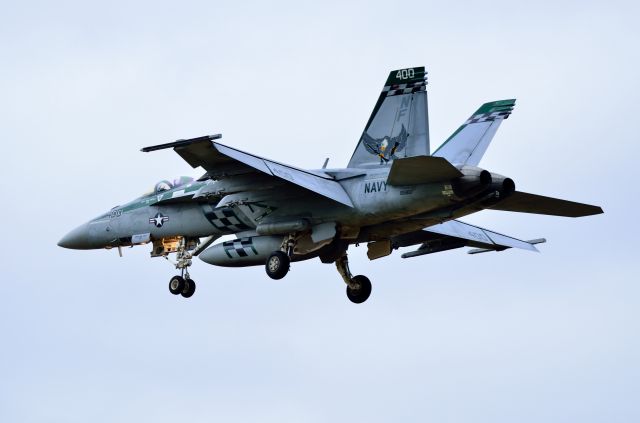 McDonnell Douglas FA-18 Hornet —