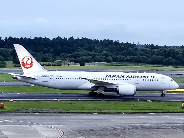 Boeing 787-8 (JA842J)