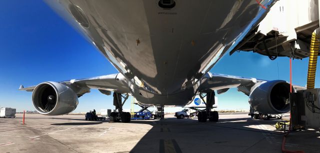 Airbus A330-300 (N277AY) - barry m. goldwater terminal 4 N1 04FEB20