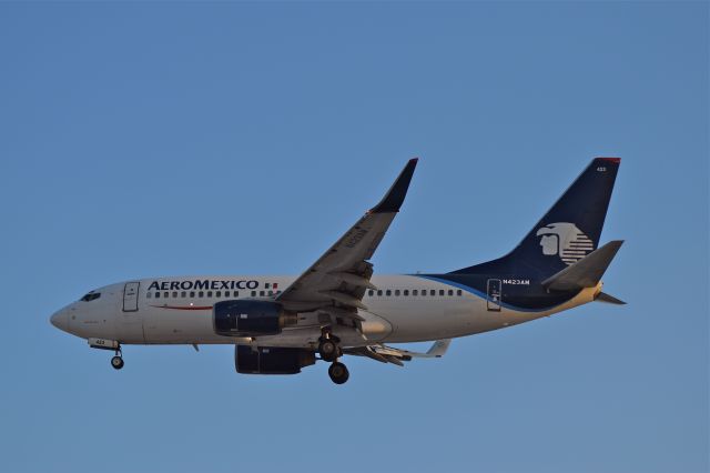 Boeing 737-700 (N423AM) - Boeing B737-73V N423AM MSN 32423 of Aeromexico on approach to Mexico City International Airport (11/2018).