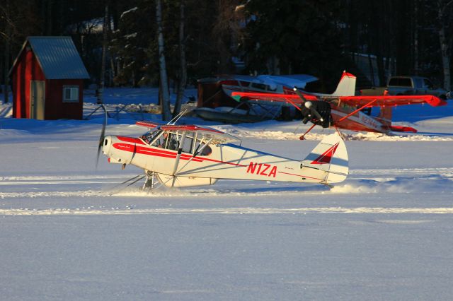 Piper L-21 Super Cub (N1ZA)