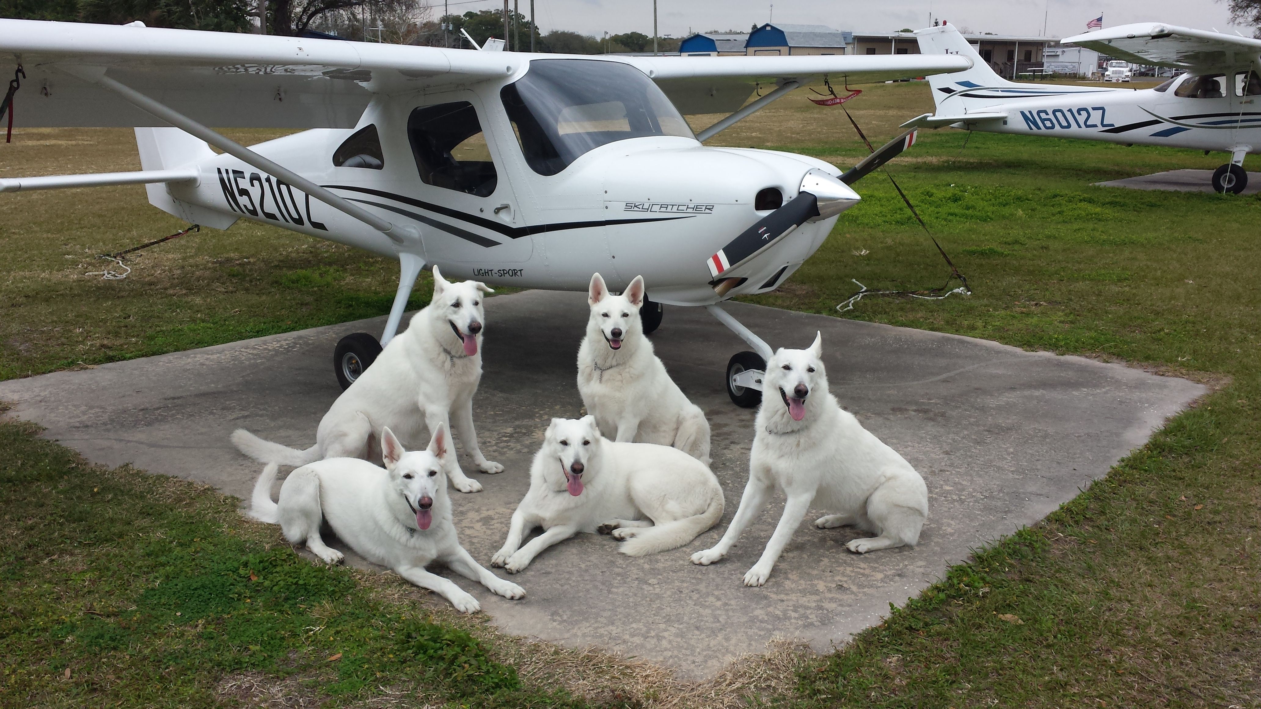 Cessna Skycatcher (N5210Z) - The kids