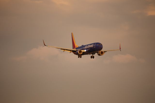 Boeing 737-800 (N8567Z)