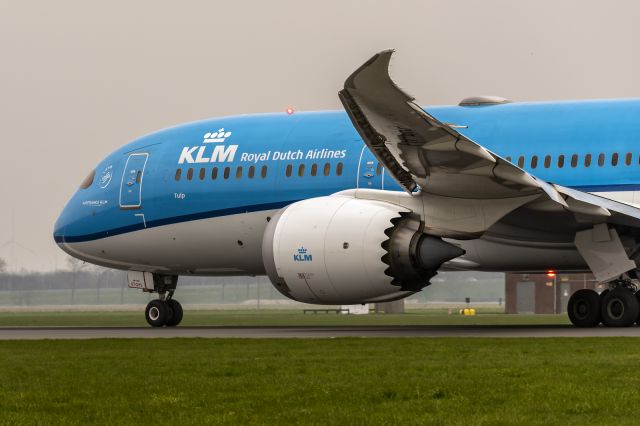 Boeing 787-9 Dreamliner (PH-BHP) - 10th of March, 2024: 'Spottersplek Polderbaan' parking lot view of KLM Dreamliner accelerating to V1 on runway 36L at Schiphol Airport. 