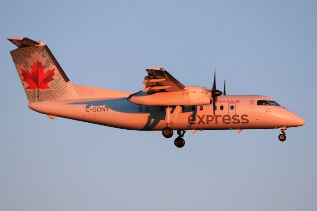 de Havilland Dash 8-100 (C-GONY) - Mar 4 2018 landing just after sunrise