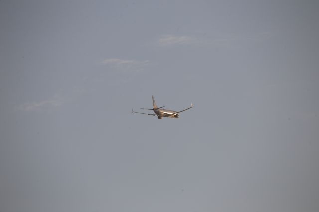 Boeing 737-800 (N79541)