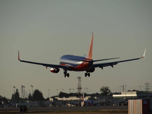 Boeing 737-700 (N293WN)