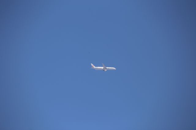 Boeing 787-9 Dreamliner (JA880J)
