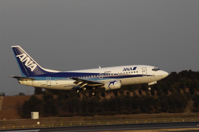 Boeing 737-500 (JA8419) - Landing at NRT Airport Runway 16L on 2011/12/29 ANA c/s