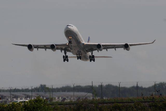 Airbus A340-300 (D-AIGM)