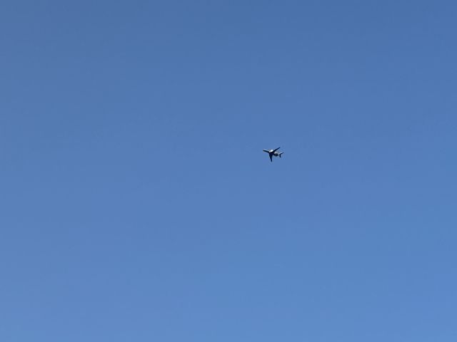 Bombardier Global 5000 (N74DH) - Globe and Flightradar24 for information 
