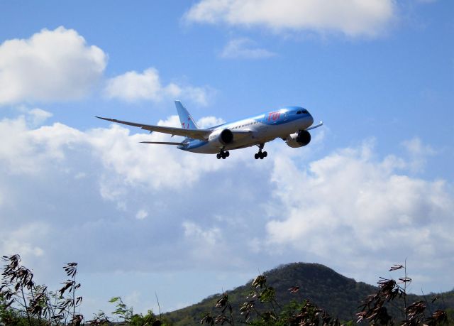 Boeing 787-8 (G-TUIC)