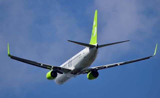 Boeing 737-800 (JA801X)