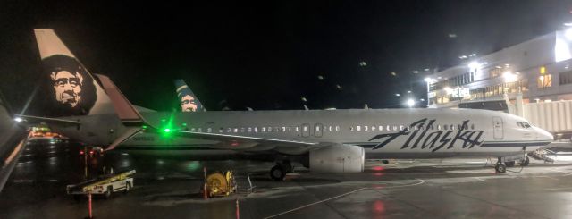 Boeing 737-900 (N413AS) - From adjacent plane at C Terminal gates, Anchorage International Airport