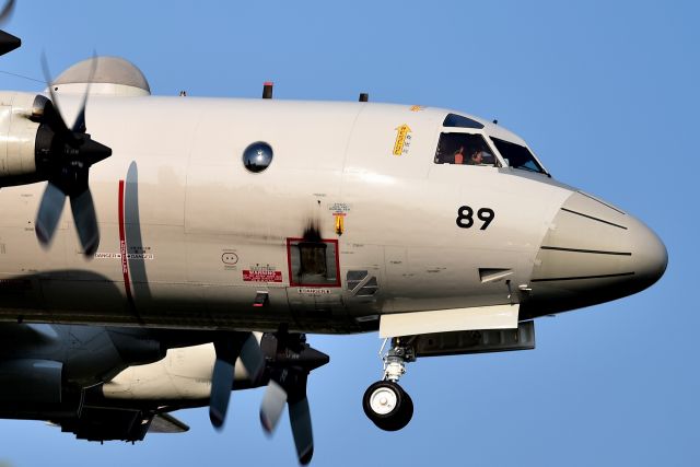 JA5071 — - Japan Maritime Self-Defensebr /Kawasaki P-3C Orionbr /Touch-and-go landing practice.