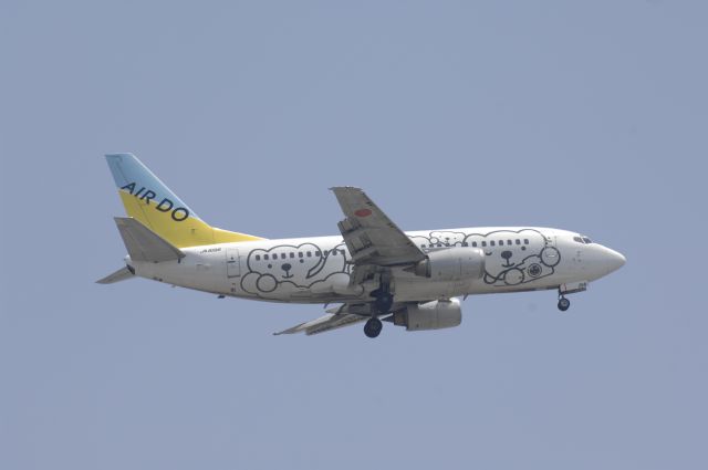 Boeing 737-500 (BON8196) - FinalApproach to Haneda Intl Airport  R/W16L on 2010/5/1 Special Bear Do c/s