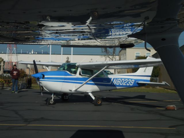 Cessna Skyhawk (N80239)