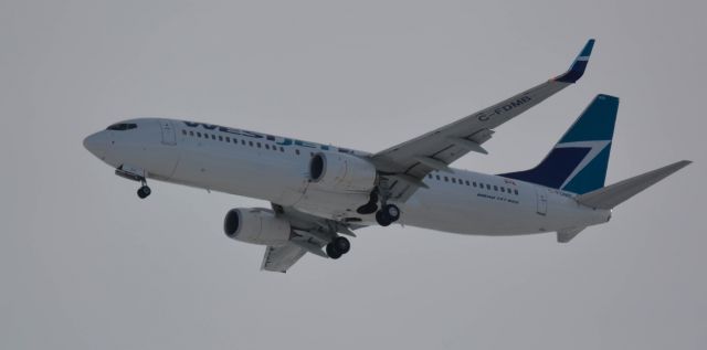 Boeing 737-800 (C-FDMB)