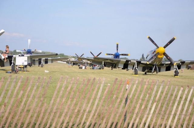North American P-51 Mustang — - A Field of P-51s in Fighter Town, Airventure 2009, OshKosh.