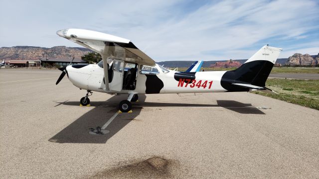 Cessna Skyhawk (N73441) - The "Holy Cow" at Benson Municipal airport(E95)