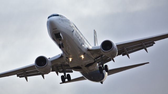 Boeing 737-800 (N592AS) - Walking the dog in the Mendenhall Wetlands, under JNU approach