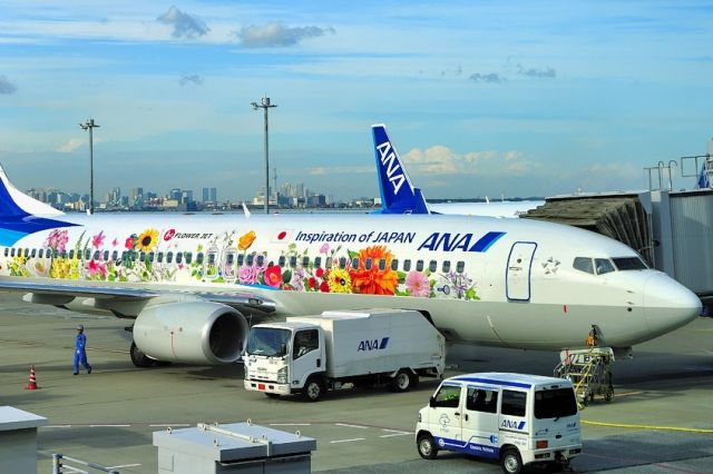 Boeing 737-800 (JA85AN) - Flower Power with Tokyo Tower Behind