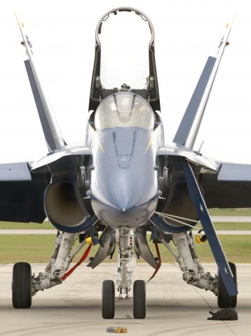 McDonnell Douglas FA-18 Hornet — - Nose of the Sting