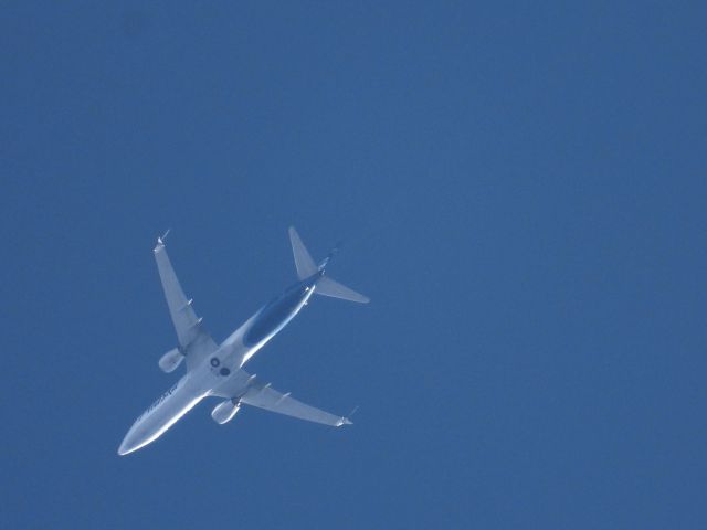 Boeing 737-900 (N428AS) - ASA770br /SWA-TPAbr /12/22/21