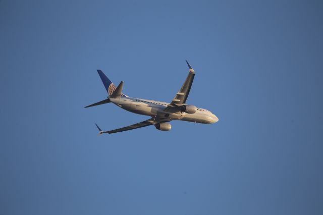 Boeing 737-800 (N79541)