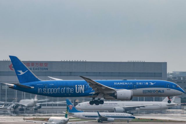 Boeing 787-8 (B-1356) - The united dream special livery landing at ZSSS