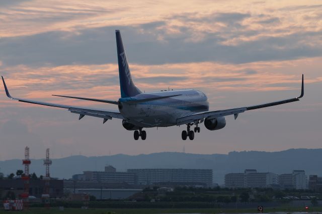 Boeing 737-800 (JA65AN)