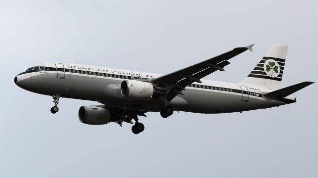 Airbus A320 (EI-DVM)