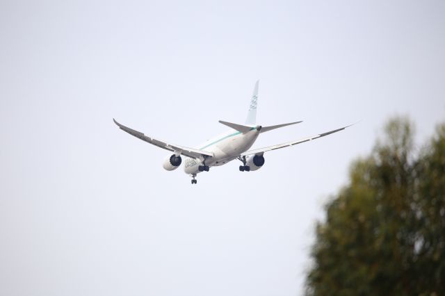 Boeing 787-8 (JA824J)