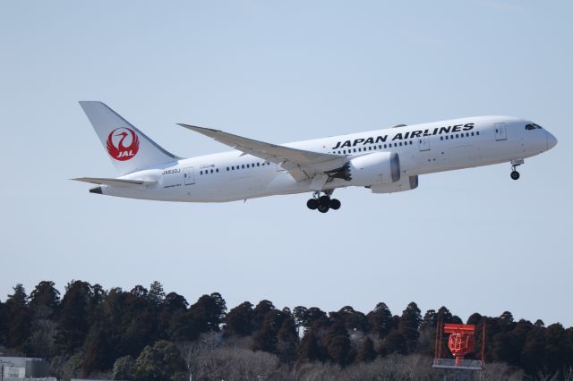 Boeing 787-8 (JA830J) - Feb 01,2025br /JAL3083 NRT→NGO