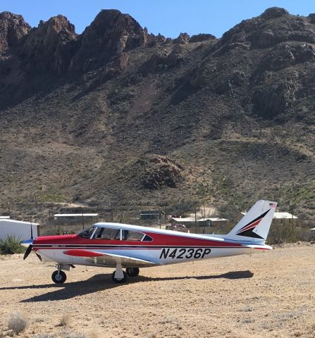 Piper PA-24 Comanche (N4236P)