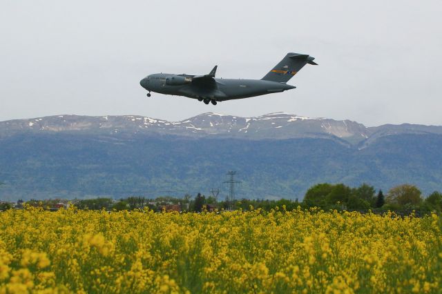 Boeing Globemaster III (07-7178)