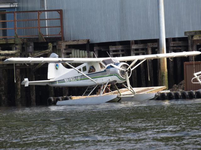 De Havilland Canada DHC-2 Mk1 Beaver (N6782L)