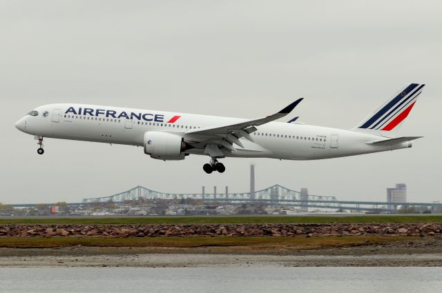 Airbus A350-900 (F-HTYN) - 'Chambord' arriving from Paris Charles de Gaulle Airport