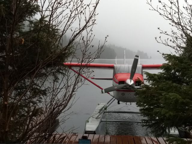 Cessna 206 Stationair (N756DU) - Off Copper River Hwy near Cordova, AK