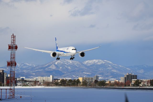 Boeing 787-8 (JA817A) - December 22, 2024:HND-HKD.