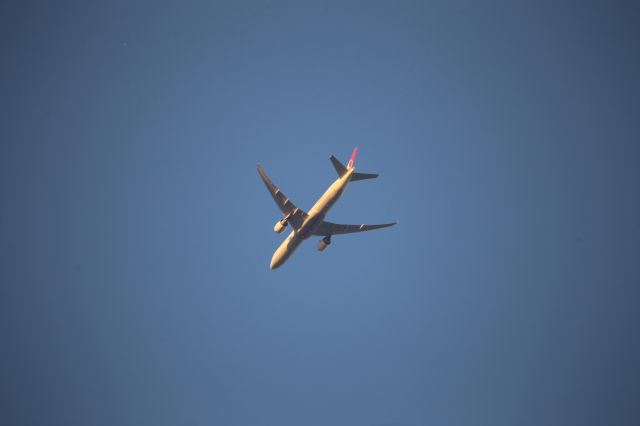 BOEING 777-300ER (TC-JJT)