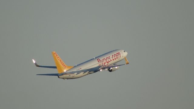 Boeing 737-800 (TC-CPE)