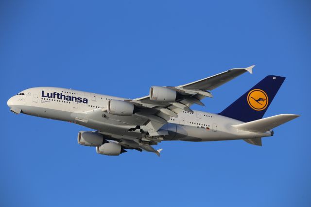 Airbus A380-800 (D-AIMF)