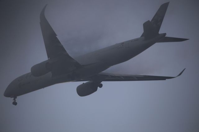 Airbus A350-900 (B-308M)